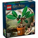 LEGO Harry Potter - Mandragora - 76433